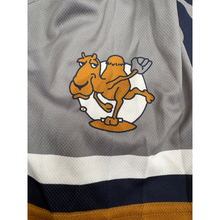 Load image into Gallery viewer, Humps Game-worn Jersey
