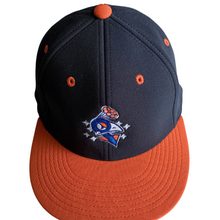 Load image into Gallery viewer, Disco Turkeys Alt Player Hat
