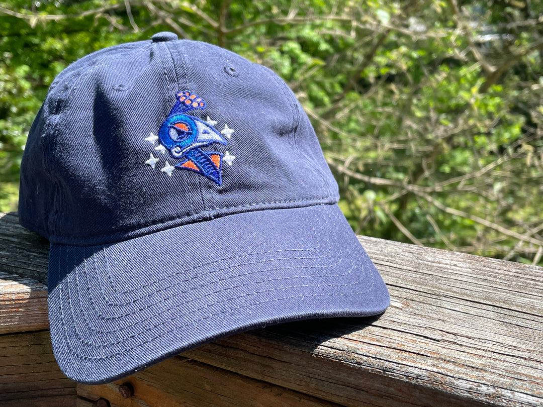 Carolina Disco Turkeys Navy Dad Hat